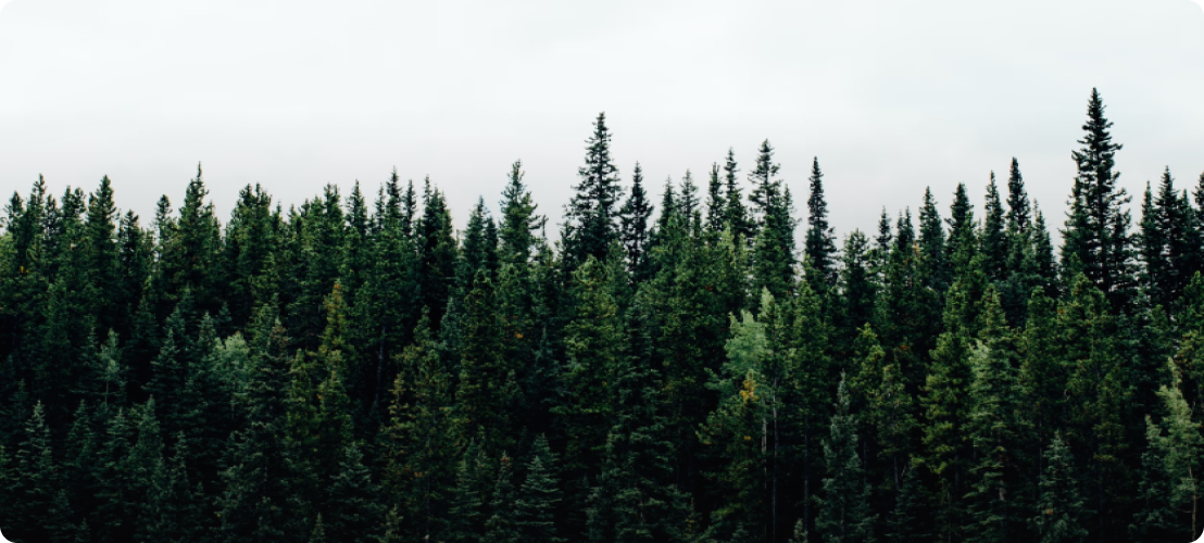 Trusted by Apollo Tyres, CEAT, Suntara Cosmetics